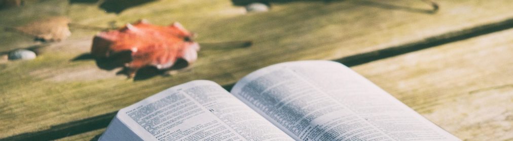 bible, book, pages, open, reading, open bible, bible reading, bible study, chapters, psalms, religion, faith, bible, bible, bible, bible, bible, book